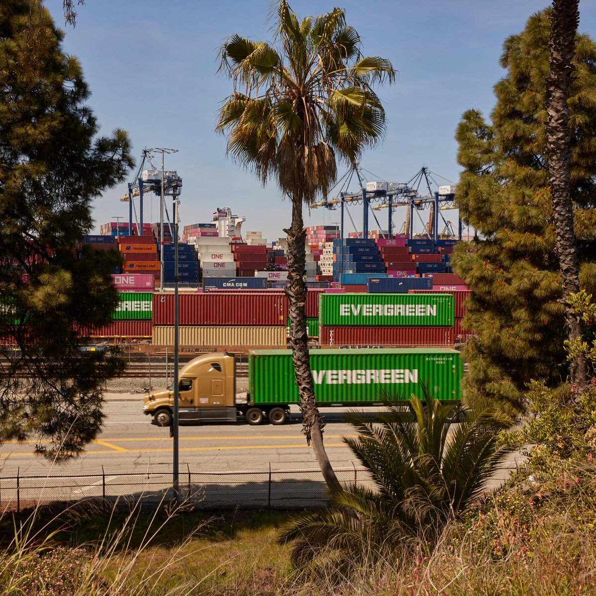 习近平计划下周访问包括越南在内的东南亚国家。北京 还试图与日本和韩国结成统一阵线，共同反对特朗普的关税政策，但依赖美国提供安全保障的东京和首尔的官员与中国的立场保持距离。（纽约时报）