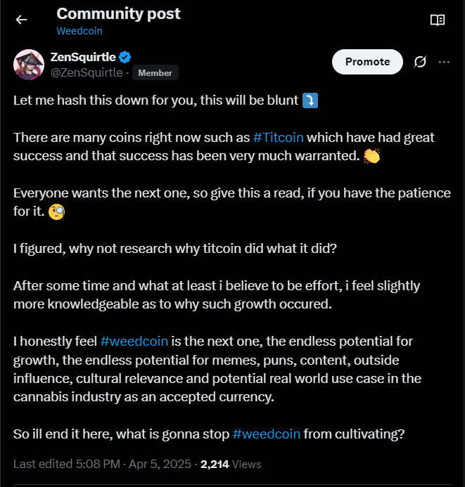 ZenSquirtle's tweet photo. @degenIzzy Politely inviting you to our cultivation, #weedcoin get high on your bags and and embrace the bong term visions of our community 🫶

21nnfR4TkbZNLwvRrqEseAbz7P3kxKjaV7KuboLJpump https://t.co/SfcNWiC9bX