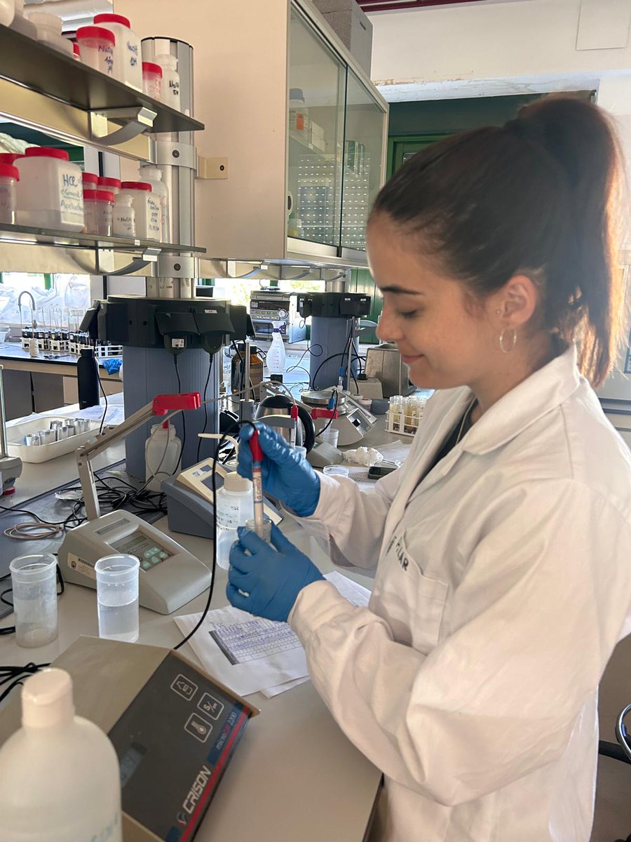 🔬Avanzamos en la investigación del #suelo a través de la conductividad eléctrica, una medida clave que está influenciada por la concentración de sales solubles, la humedad y la temperatura del suelo.
En #SOILBIO estudiamos la microbioma del suelo para ayudar a los #agricultores