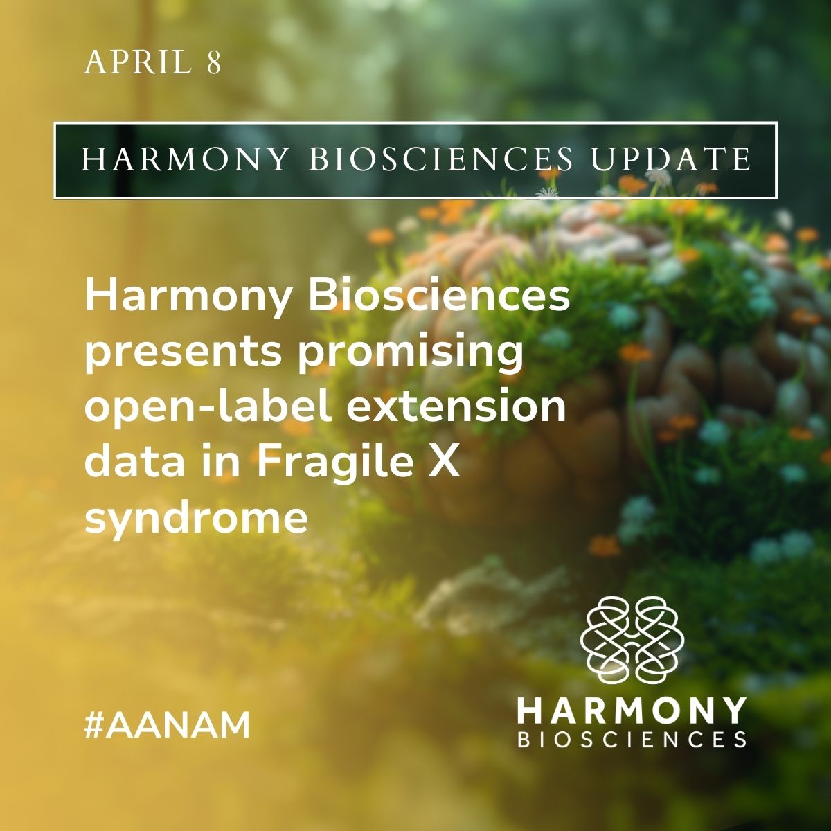 We are pleased to announce that our open-label extension data from our Fragile X syndrome clinical development program will be presented at the American Academy  of Neurology Annual Meeting as a podium presentation today. For more information, visit: bit.ly/43KXWng