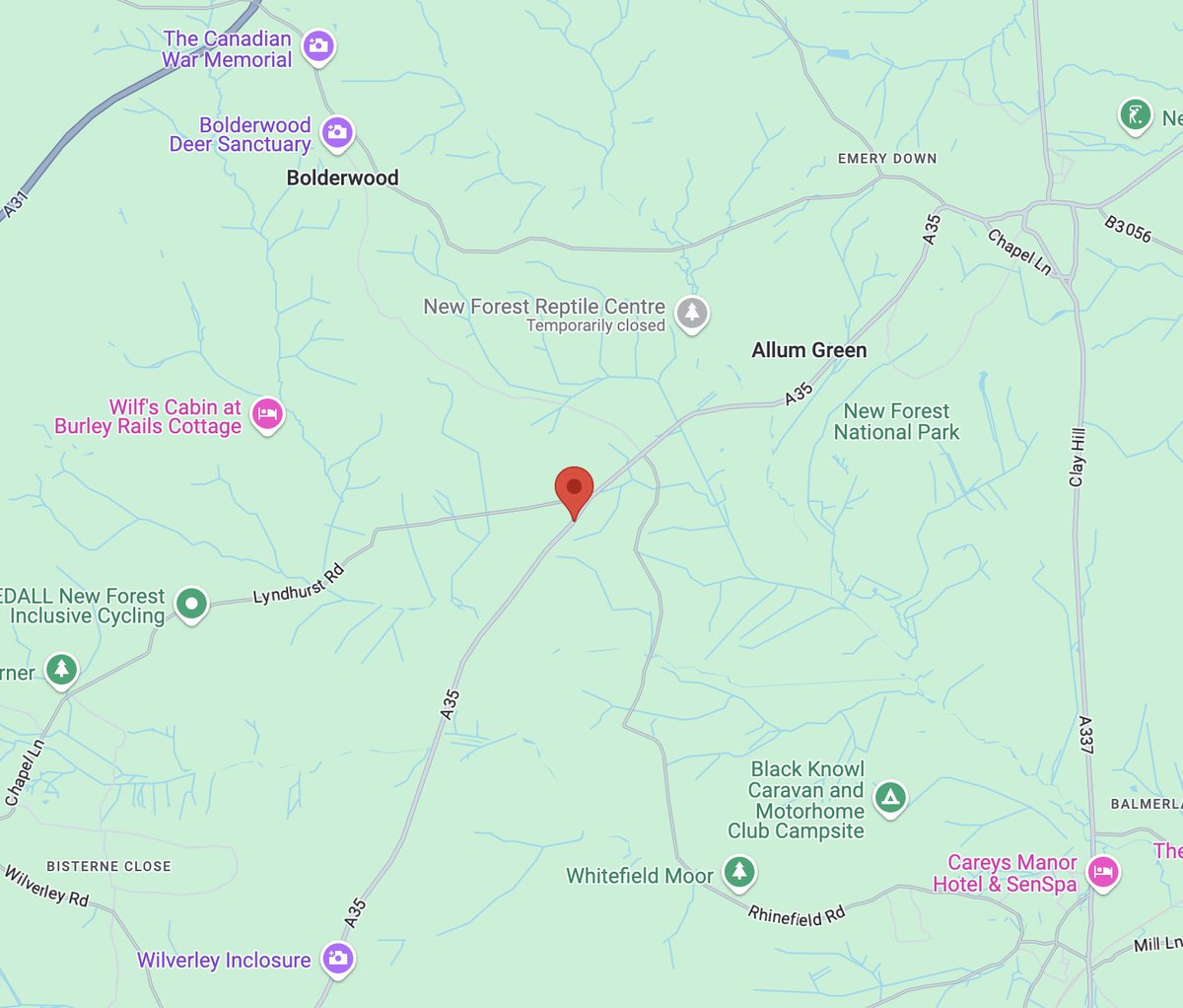 Back Of The Net 🍒 tweet media