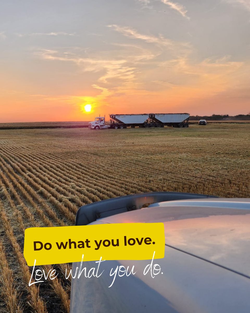 Every day on the farm is a chance to live our values and grow something meaningful - while doing what we love! It doesn't get any better than that. #DoWhatYouLove #LoveWhatYouDo #FarmLife #AberhartFarms #GrowingOurFuture