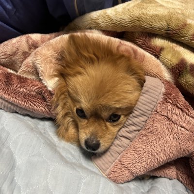 19640914Tanaka's tweet photo. #新しいプロフィール画像 https://t.co/DWWefOJdBi