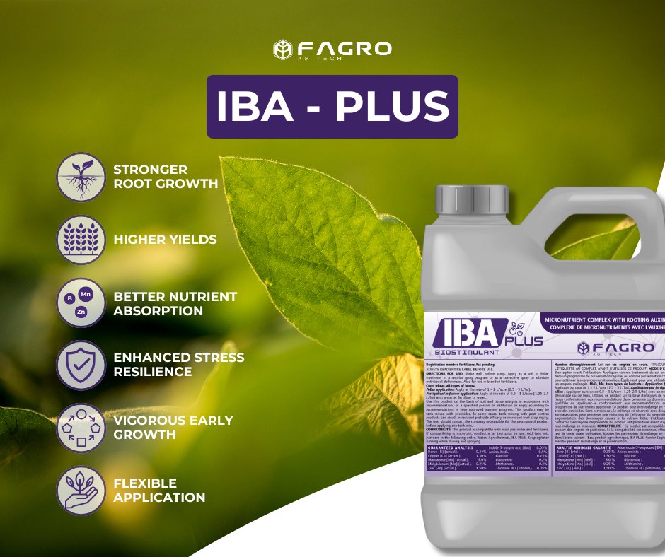 FagroAgTech's tweet photo. Unlock your crop’s full potential with IBA Plus!
Stronger roots = higher yields.
✅ Better nutrient uptake
✅ More stress resilience
✅ Early growth support
Healthy roots, bountiful harvest.
#IBAPlus #StrongerRoots #HigherYields #SmartFarming #CdnAg #OntAg #Plant25 https://t.co/huFr6dZex2