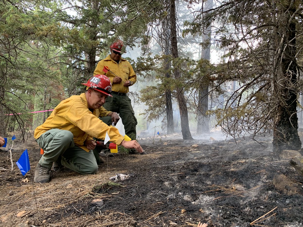 NWCG's tweet photo. 🚨 Updated, NWCG Guide to Wildland Fire Origin and Cause Determination, PMS 412
🔗 https://t.co/SvnC6bhGaC https://t.co/75UmhQDeAM