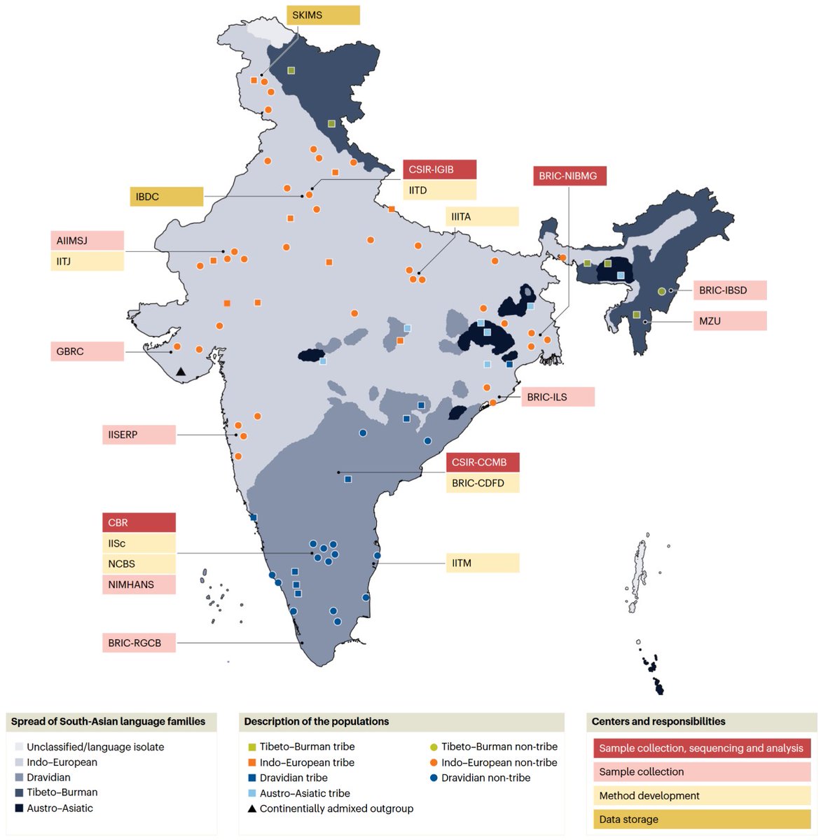 The preliminary findings of the GenomeIndia project, in which CCMB played a key role, is now out <a href="/NatureGenet/">Nature Genetics</a>: nature.com/articles/s4158….
This massive, multi-institute effort generated whole genome seq data of 10K healthy Indians &amp; will pave way to new genomics research in India.