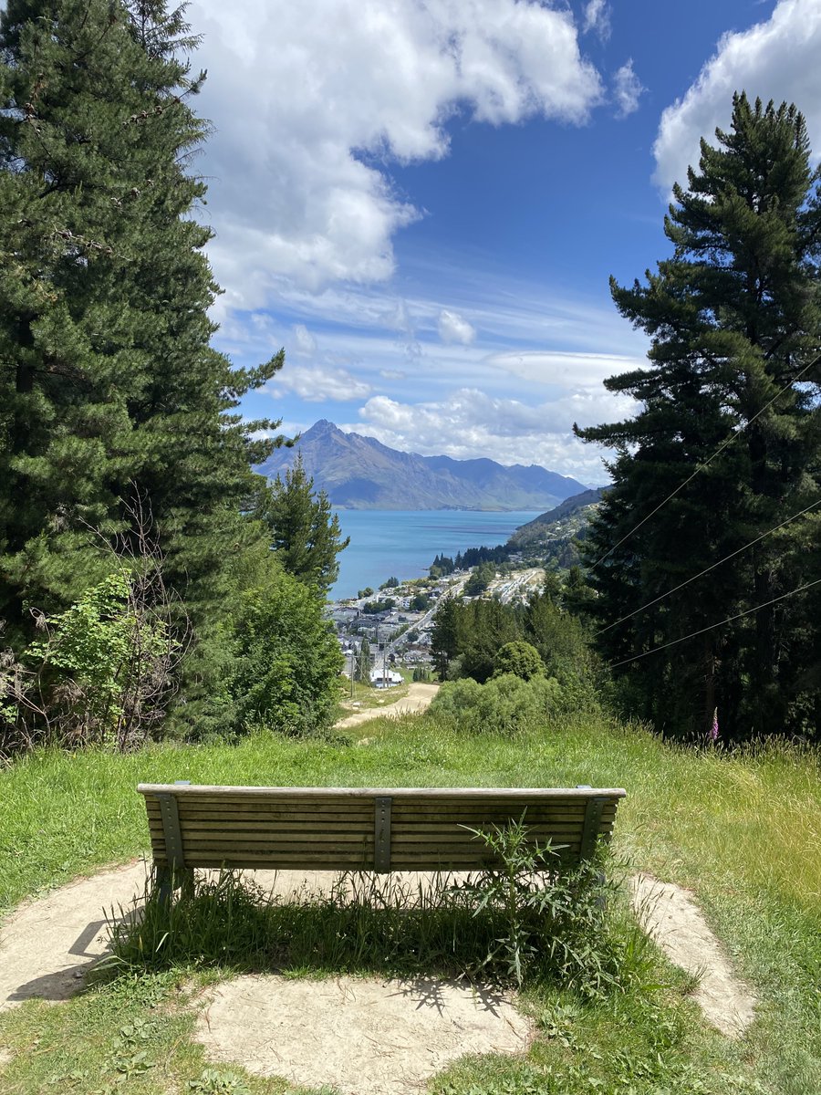 SimonLpr's tweet image. Somewhere in New Zealand 🇳🇿