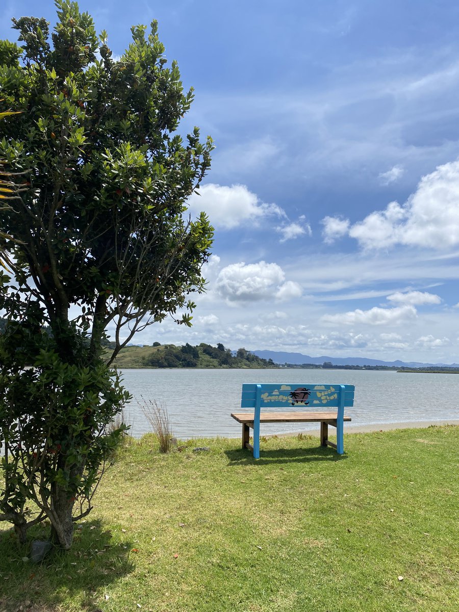 SimonLpr's tweet image. Somewhere in New Zealand 🇳🇿