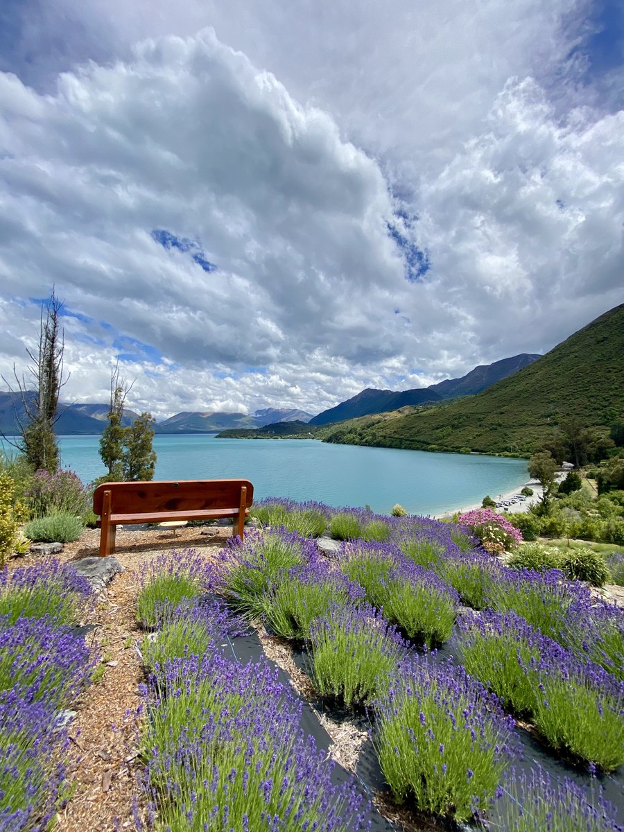 SimonLpr's tweet image. Somewhere in New Zealand 🇳🇿