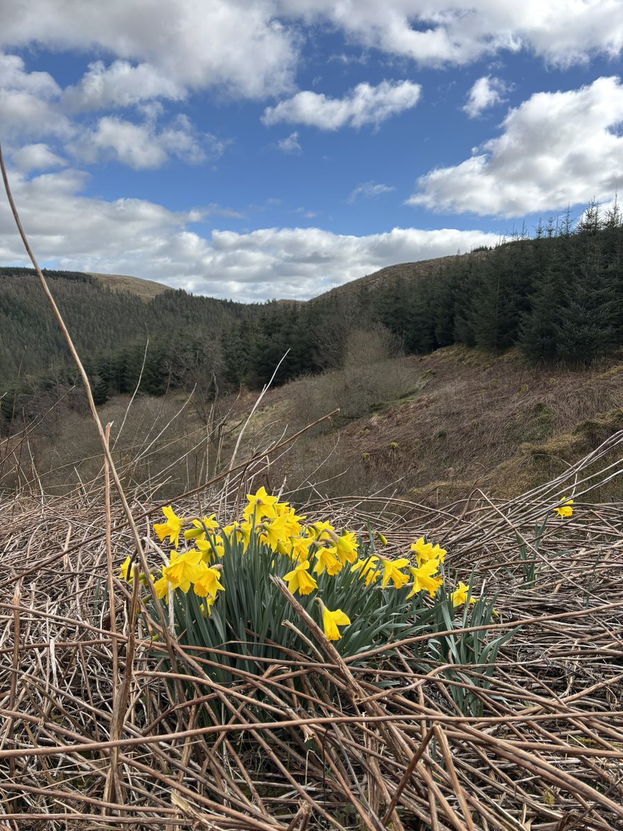 McAllisterMagic's tweet photo. Beautiful #northumberland https://t.co/TwEjuUp9b4