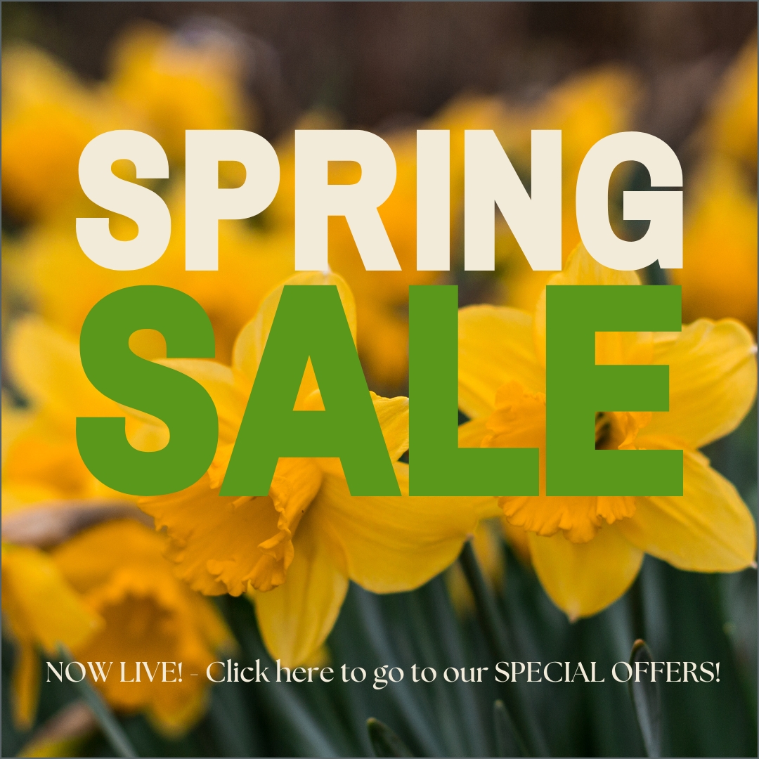 CWC_Ltd's tweet image. As the seasons change, it's the perfect time to refresh. Our Spring Sale is here — and it's packed with unbeatable deals on high-quality furniture components you rely on.  We've got you covered with great components at springtime prices.

clockworkcomponents.com/special-offers