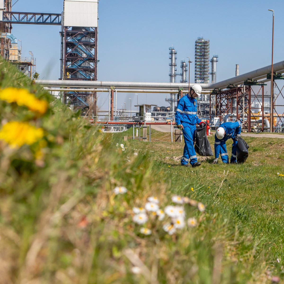 Wat hadden wij geluk afgelopen donderdag, dat het tijdens onze Spring Cleaning zulk stralend weer was! Bijna 150 collega's gingen samen op pad om zwerfvuil op te ruimen op en rond ons fabrieksterrein. Het leverde 600 kg restafval en 50 kg hout op. Goed werk geleverd allen!
