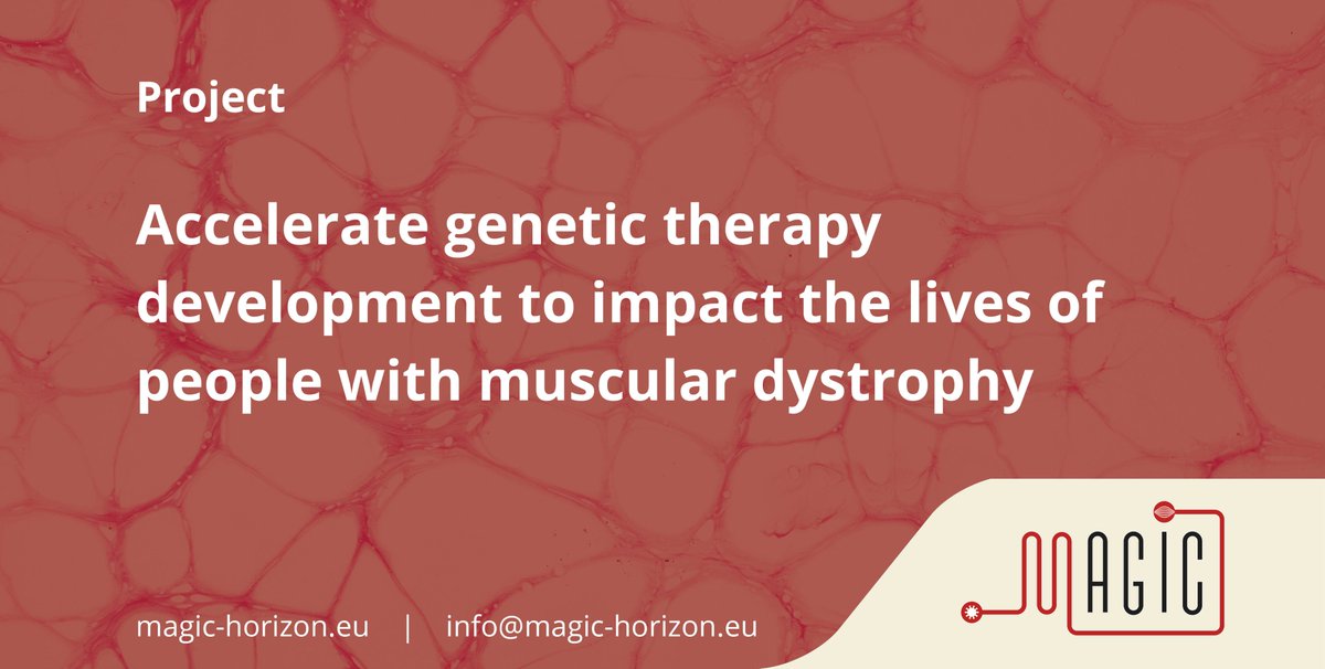 💫 The #MAGICProject is developing transformative gene therapies for people living with rare muscular dystrophies - conditions that affect movement, eating, breathing &amp; more.

🧬 With leading experts on board, we’re pushing research forward, faster.

🔗 magic-horizon.eu