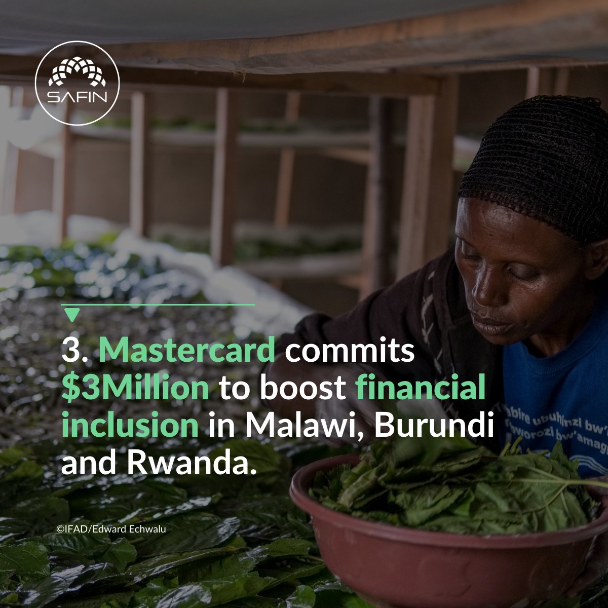 SAFIN (@safin_network) on Twitter photo Mastercard invests $3m in Africa to support projects expanding financial inclusion in rural Africa.
fintechfutures.com/financial-incl… Mastercard invests $3m in Africa to support projects expanding financial inclusion in rural Africa.
fintechfutures.com/financial-incl…