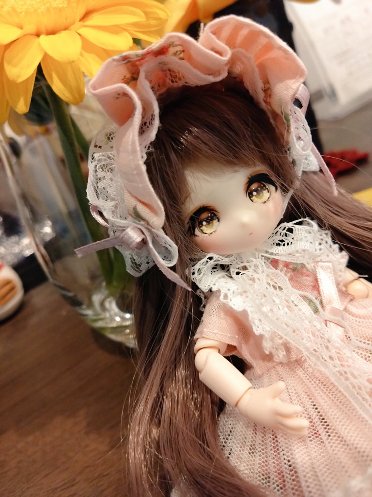 hisyo12's tweet photo. パチュリちゃんお迎えしました

が、注文してからセルフィーユちゃんとウィッグが被ってる事が判明しまして姉妹みたいな感じになってる https://t.co/p9mccvUXLa