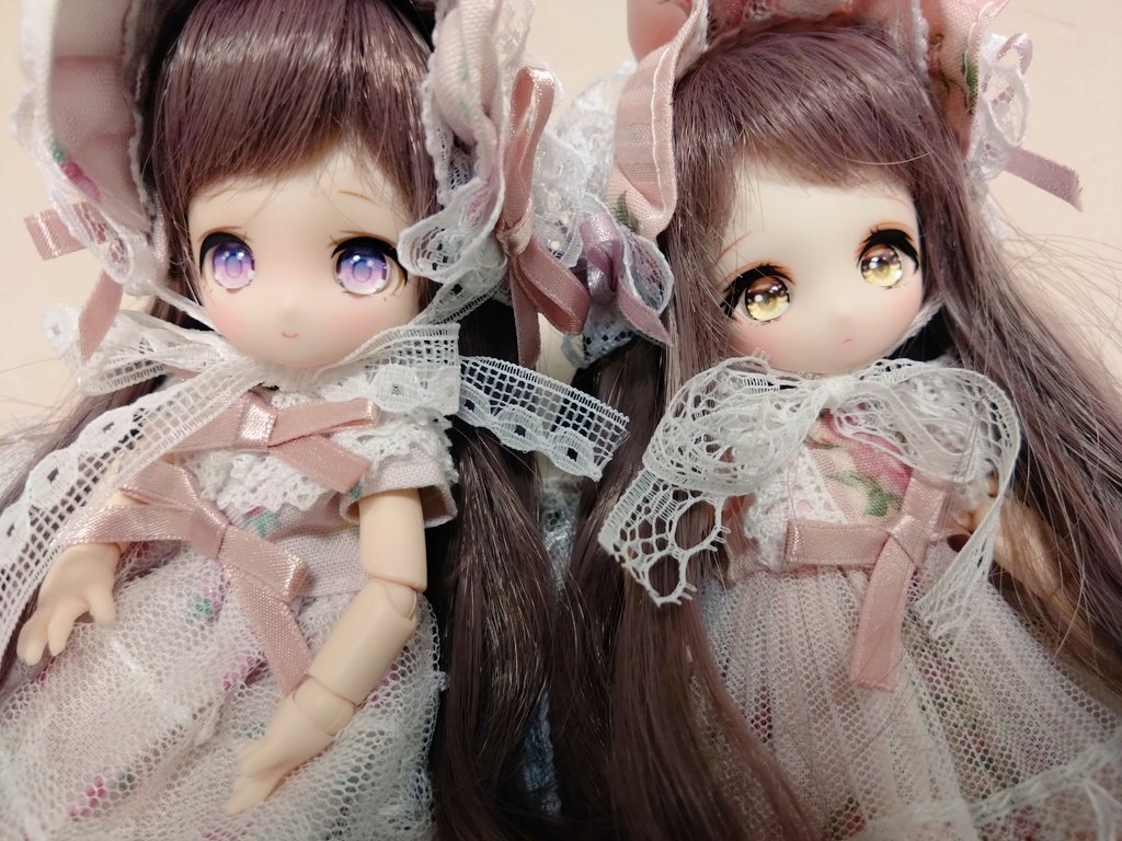 hisyo12's tweet photo. パチュリちゃんお迎えしました

が、注文してからセルフィーユちゃんとウィッグが被ってる事が判明しまして姉妹みたいな感じになってる https://t.co/p9mccvUXLa
