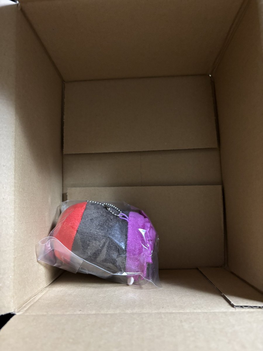 freedom240717's tweet photo. オンク��でゲトしたぷにころ天彦が来たぞ…！！
緩衝材なしだったからさぞやセクシーに暴れまくったろうな😂 https://t.co/VKox96EKNr