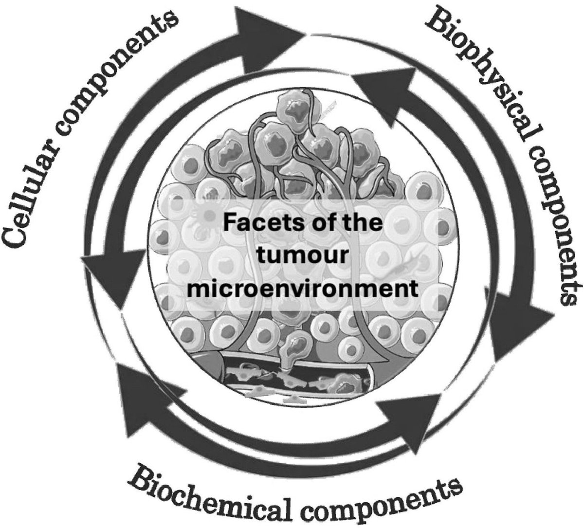 FEBS Open Bio (@febsopenbio) on Twitter photo 🆕 Review for your reading list
Bioengineering facets of the tumor microenvironment in 3D tumor models: insights into cellular, biophysical and biochemical interactions
🔓 buff.ly/TsU8Ptc
🥼 <a href="/UmberCheema/">Umber Cheema</a> <a href="/dbakkalci/">Deniz Bakkalci</a>
#TumorStroma #TumourModels #TumorMicroenvironment 🆕 Review for your reading list
Bioengineering facets of the tumor microenvironment in 3D tumor models: insights into cellular, biophysical and biochemical interactions
🔓 buff.ly/TsU8Ptc
🥼 <a href="/UmberCheema/">Umber Cheema</a> <a href="/dbakkalci/">Deniz Bakkalci</a>
#TumorStroma #TumourModels #TumorMicroenvironment