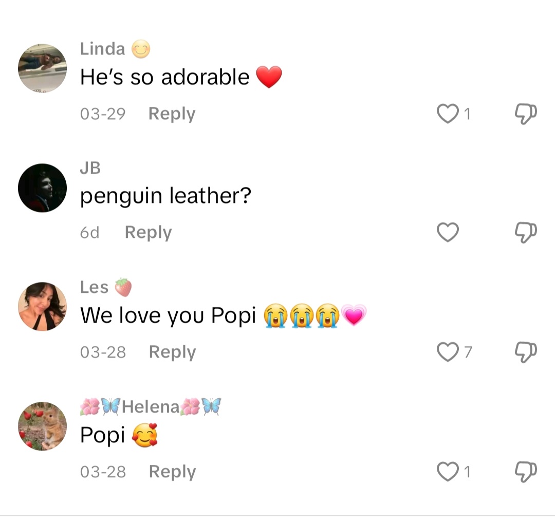 AltCoinVision's tweet photo. Normies are already in love with $Popi below are just some of the comments on tiktok 

Just to show u guys how early we are 

CmLnWyKQmUc16doT3yP6RNqZyhccrASU58PC7Ygypump https://t.co/IX24c1qo5F