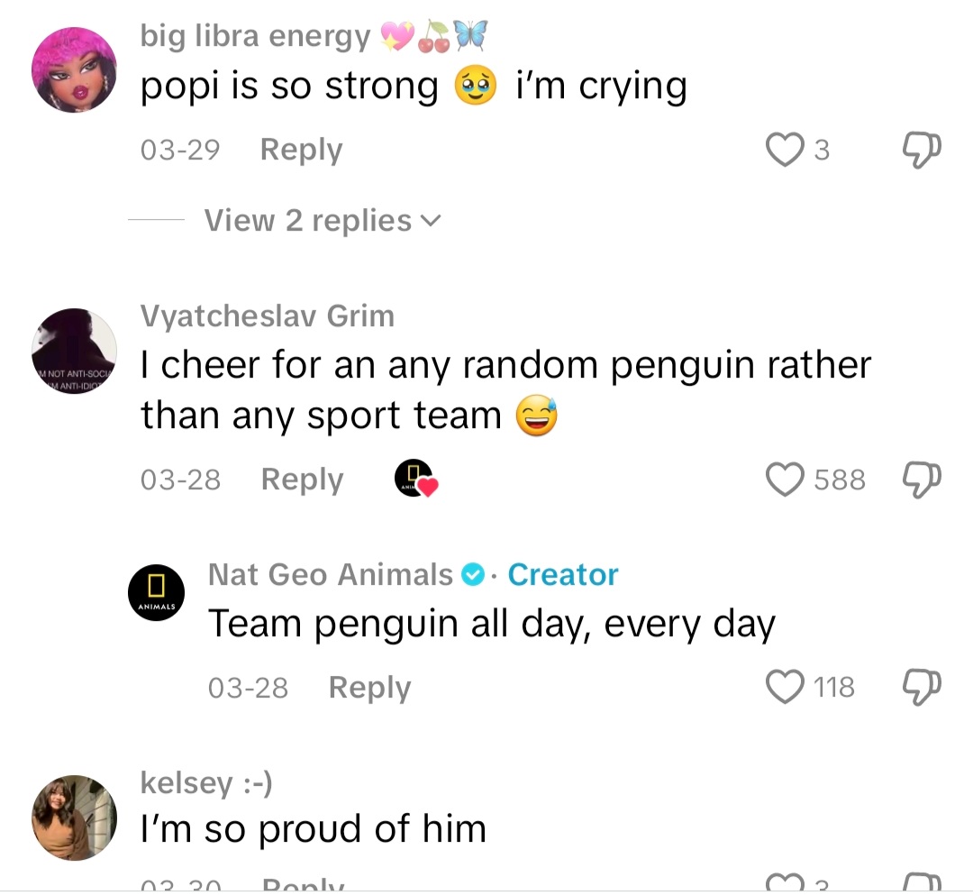 AltCoinVision's tweet photo. Normies are already in love with $Popi below are just some of the comments on tiktok 

Just to show u guys how early we are 

CmLnWyKQmUc16doT3yP6RNqZyhccrASU58PC7Ygypump https://t.co/IX24c1qo5F
