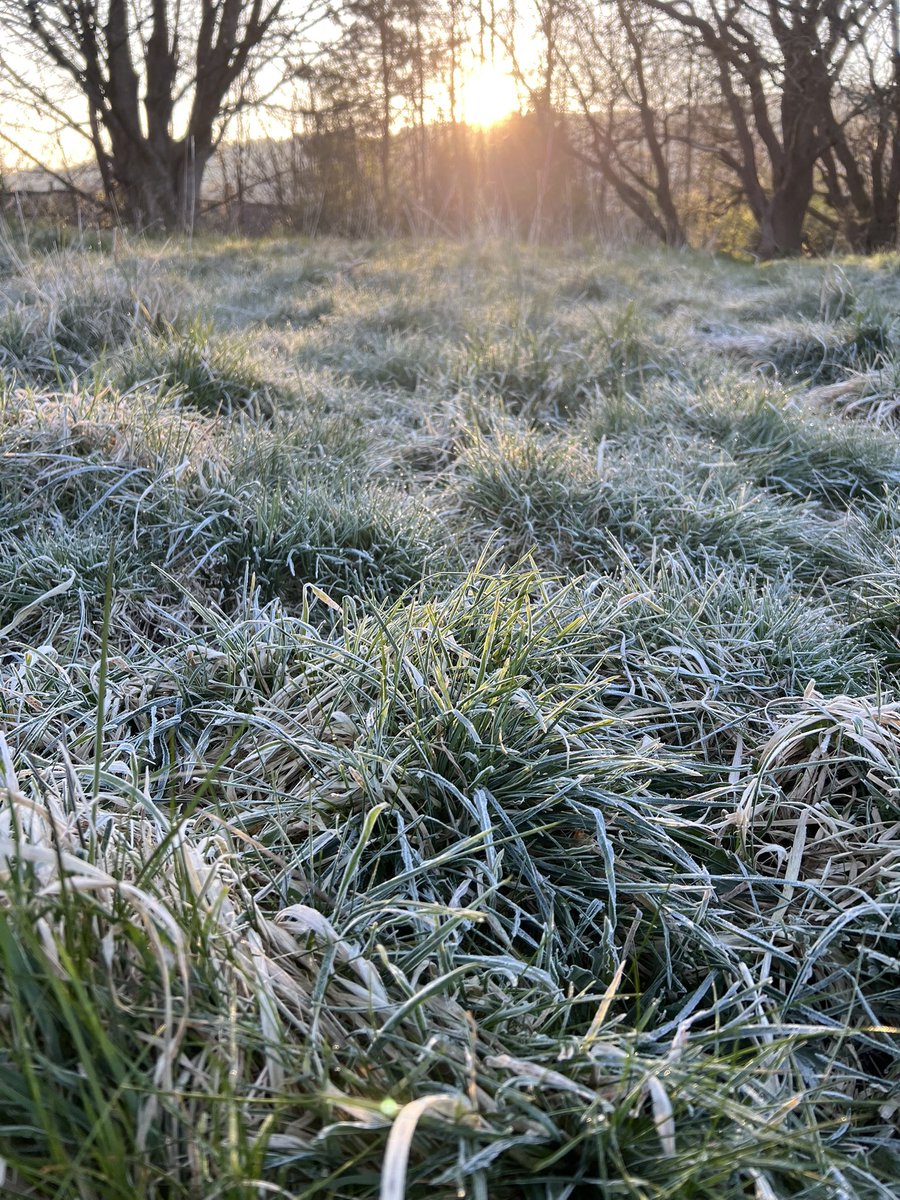 ConnorArmitage2's tweet photo. @UKWX_ Second night of frost for us https://t.co/UngqdyiDfo