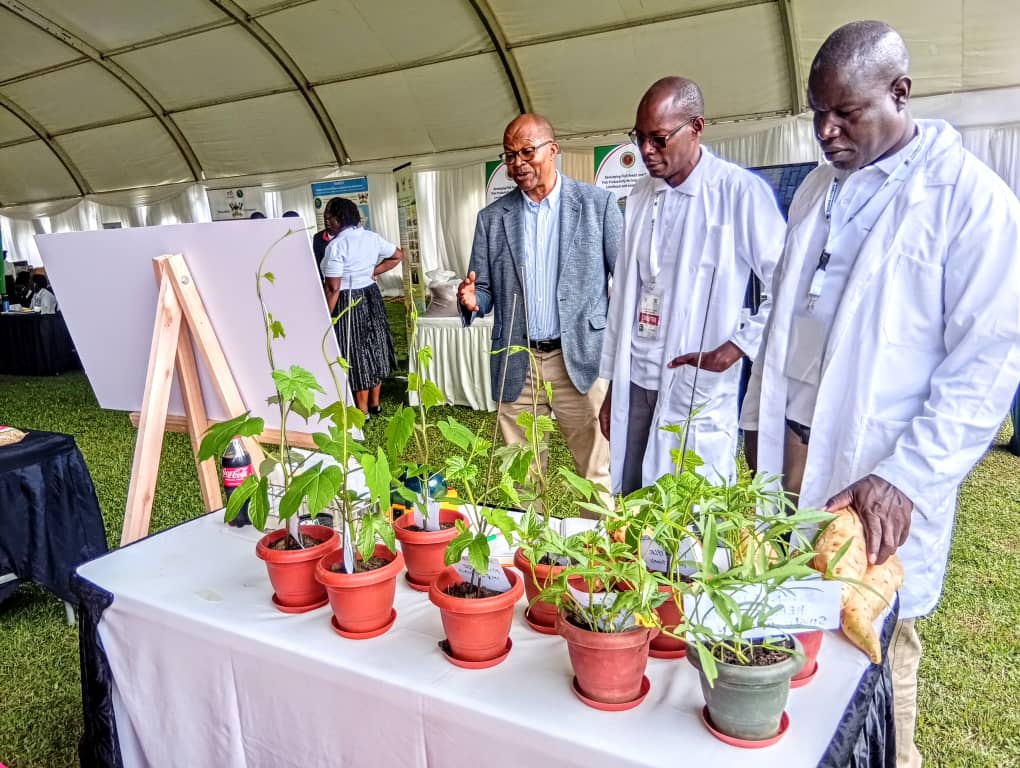 Some of the Exhibitors at the Makerere Research and Innovation Week. The Exhibitors have been curated from the pool of innovators, who are funded by the <a href="/RIFMakerere/">Makerere University Research and Innovations Fund</a>.