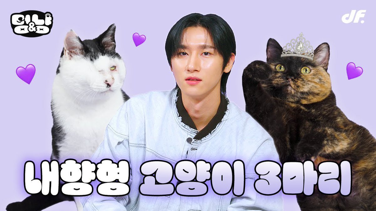 I.M (아이엠) tweet media