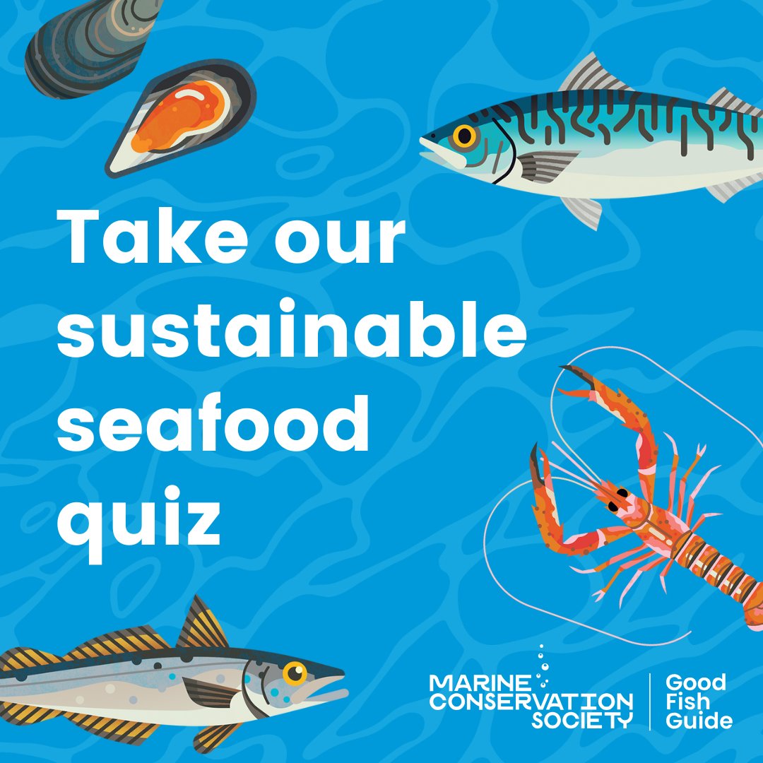 mcsuk's tweet photo. Things are getting fishy around here this week as we prepare to update our #GoodFishGuide. How much do you know about fish? ๐ Are you a dab hand or a damp squid? Perhaps you flounder and need salmon help?
Take our quiz if you fansea your chances: https://t.co/Vzjh8SwlNM https://t.co/FTdtoP5YK4