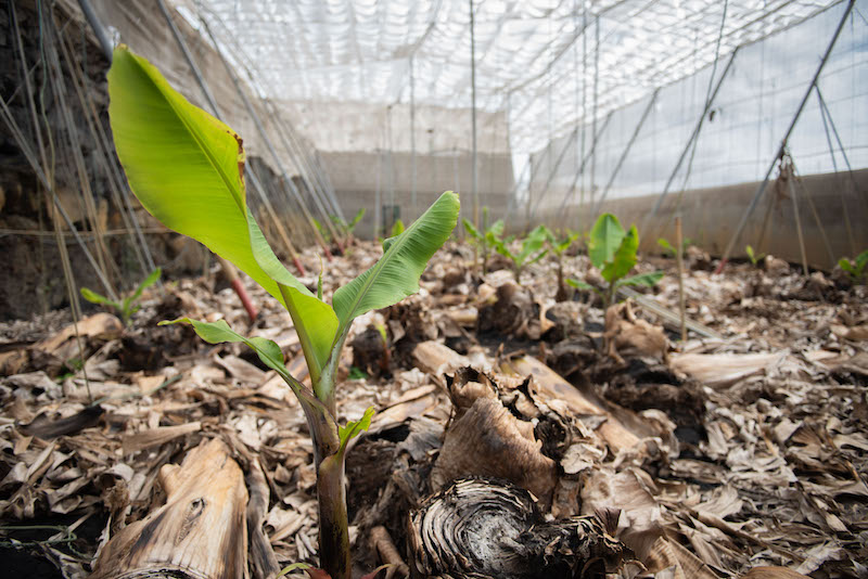 REVISTAFYH's tweet image. La #compraventa de #fincas #rústicas crecerá un 31,2% esta década

El relevo generacional en el #campo está generando nuevas transmisiones por compraventa, según @Cocampo_com, un fenómeno que está “dinamizando el mercado y multiplicando las operaciones”.

fyh.es/la-compraventa…