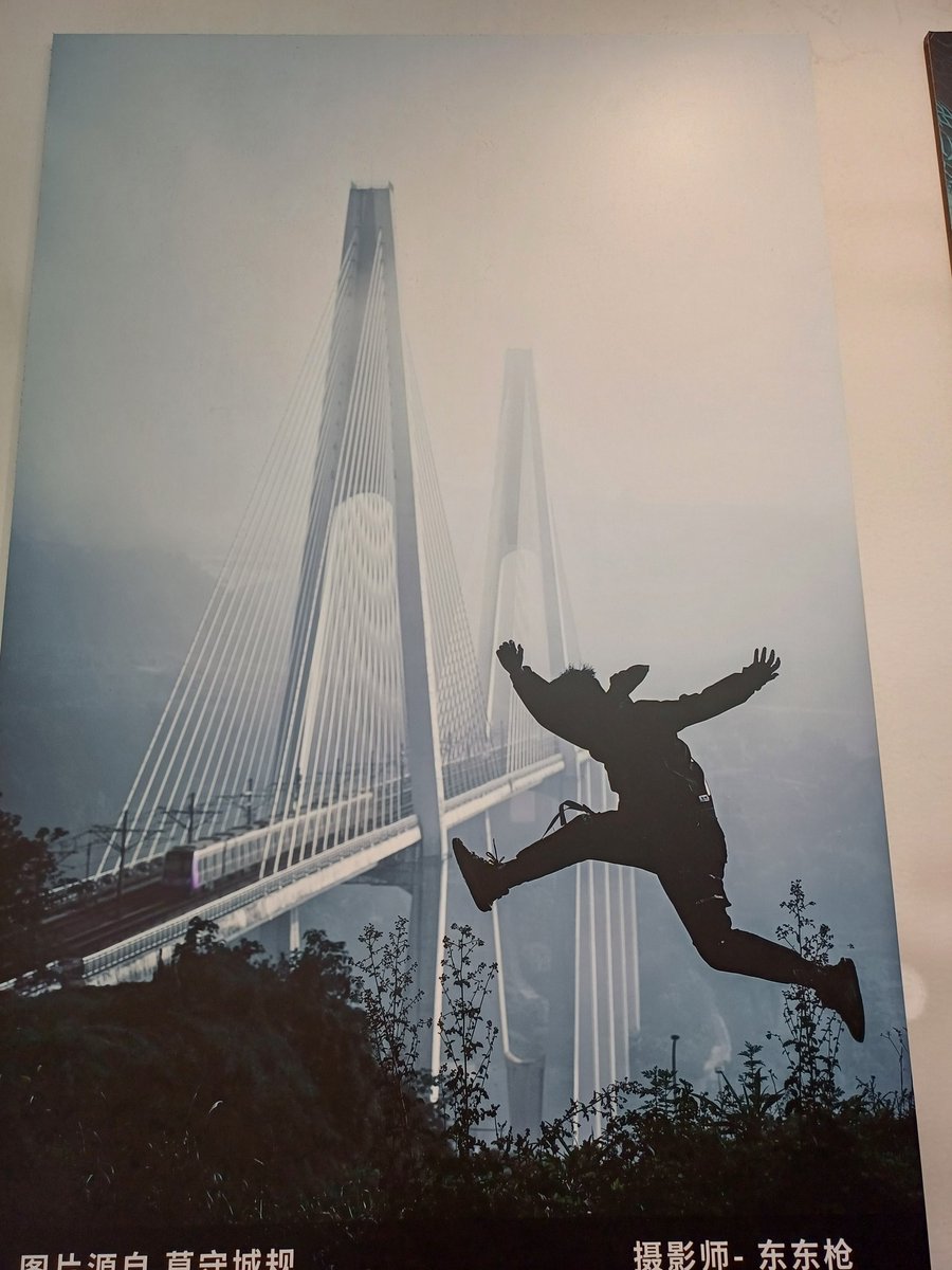 andreacampri's tweet photo. In partenza per presentare il mio libro intervista "#LaSelezioneArtificiale #presentazione convegno in #cina #hainan https://t.co/VVa8L9yi28