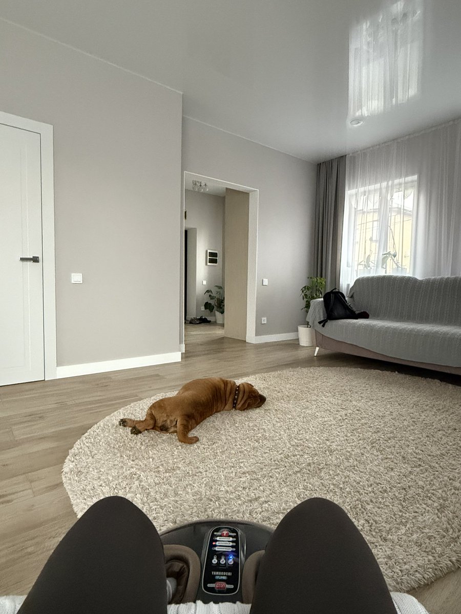 дэбер динска tweet media