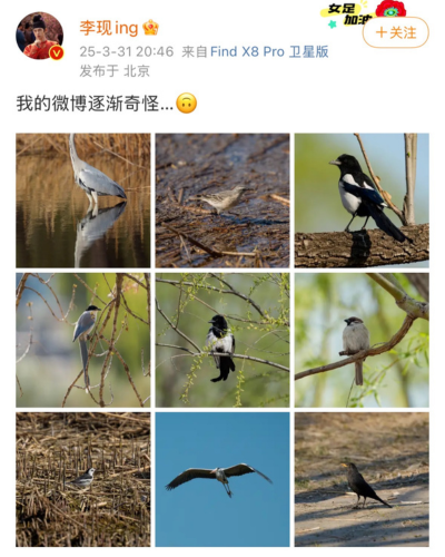DiscoverNingxia's tweet photo. 📸🦜Recently, the topic of Chinese renowned actor Li Xian "DA NIAO" (Birding with a long lens) in a park trended on social media, as young people are seeking their own "mental recharge" methods.#birding #NingxiaOnline #NingxiaAlongYellowRiver #SpringInNingxia #Discoverningxia https://t.co/40pIgGIALO