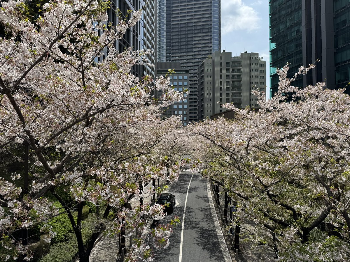 tokei_lover's tweet photo. 都心は葉桜になってきました🌸
#SpeedyTuesday
#omega #omegaSpeedmaster #FirstOmegaInSpace https://t.co/Ie5FA5yfEt