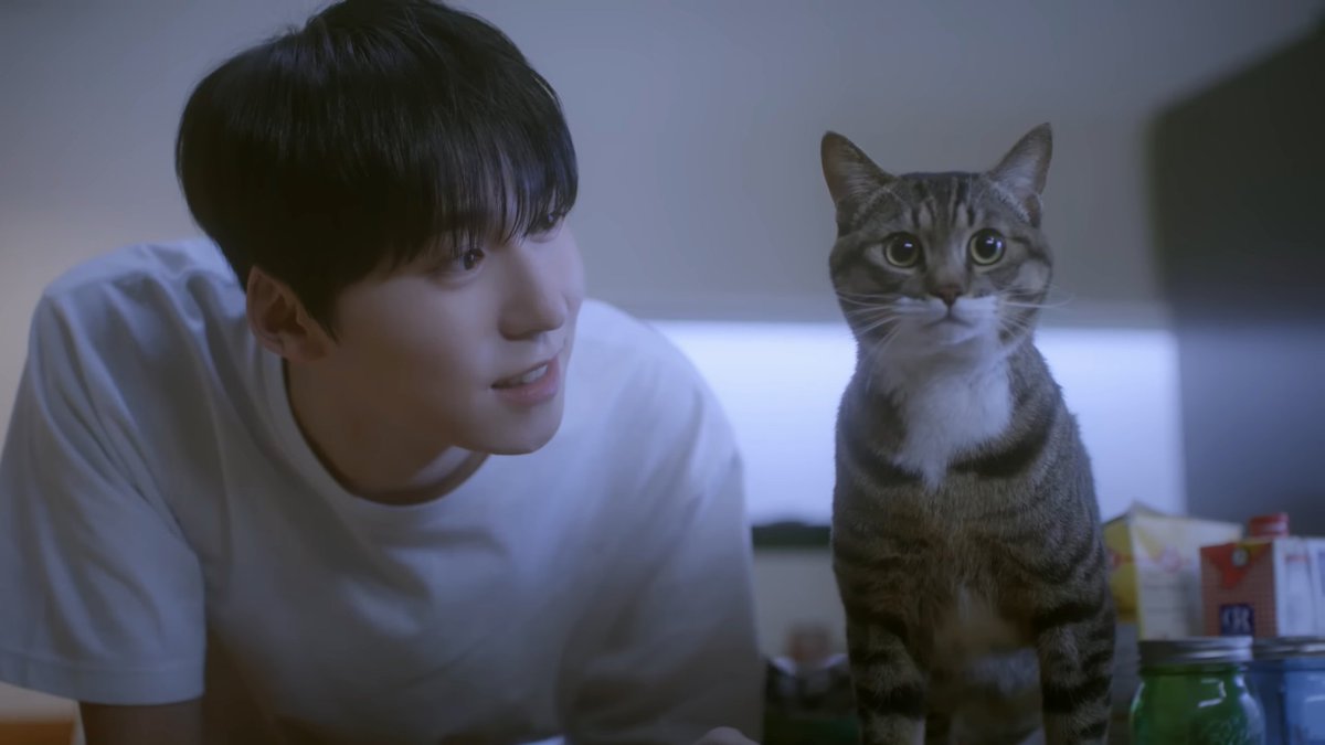 _crescent0627's tweet photo. NEW! 고먐미 추가! 건희는 동물하고 있으면 케미가 미침🥹 이브도 있긴한데...제가 파충류들을 너무 무서워해서 안..못가져왔...ㅠㅠㅠ

#원어스 #ONEUS #건희 #KEONHEE https://t.co/2d5XACGX0t