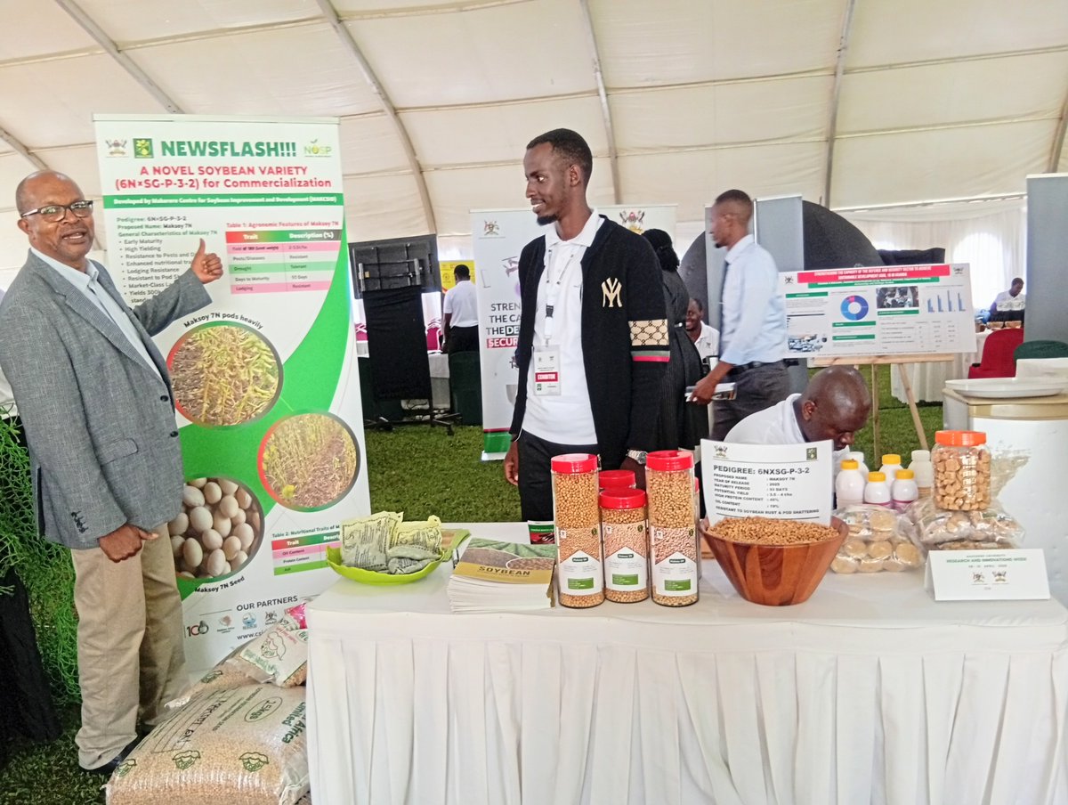 Happening Now <a href="/Makerere/">Makerere University</a> Freedom Square: <a href="/RIFMakerere/">Makerere University Research and Innovations Fund</a> Research &amp; Innovations expo. <a href="/MakCAES/">Makerere University CAES</a> through it's innovation intentional agenda is significantly contributing to efforts to transform Makerere into a research-led university. #RIWEEK2025, <a href="/DICTSMakerere/">Directorate For ICT Support - Makerere University</a> @makererene