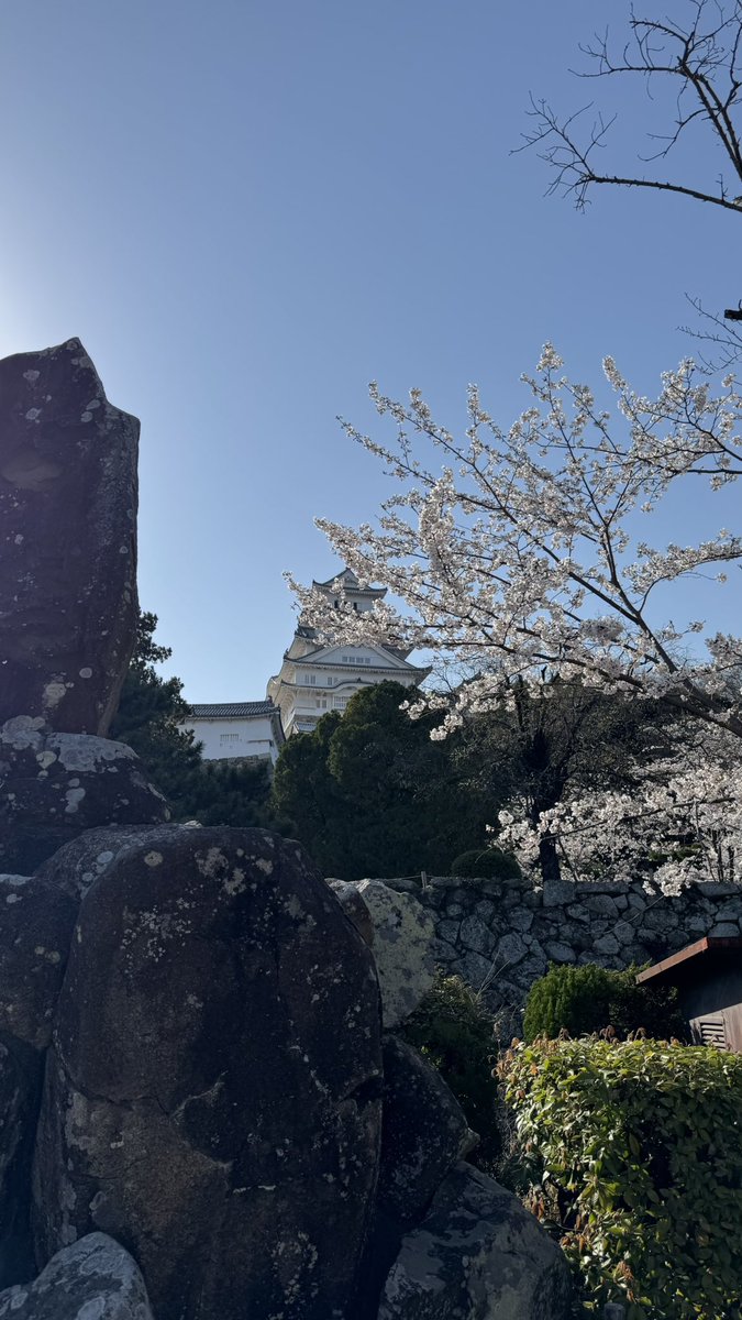 Been playing Ghost of Tsushima irl these past weeks
