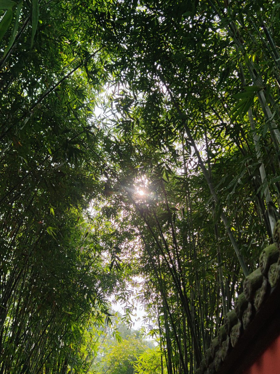 贵阳男M tweet media