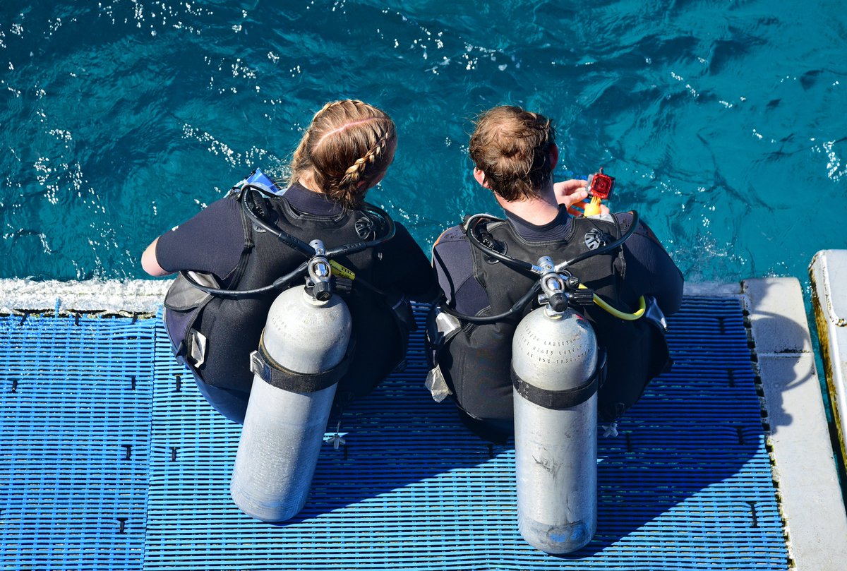 🌊 Our OYSTER network has launched the 2025 call for Individual Fellowships! 🐚

EuroMarine is proud to support  #ECRs through the OYSTER Individual Fellowship Programme! 
euromarinenetwork.eu/opportunities/…