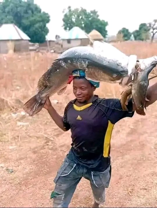 Da Storyteller's Tv tweet media