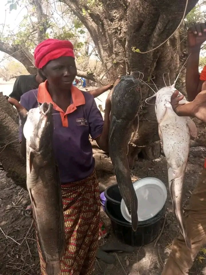 Da Storyteller's Tv tweet media