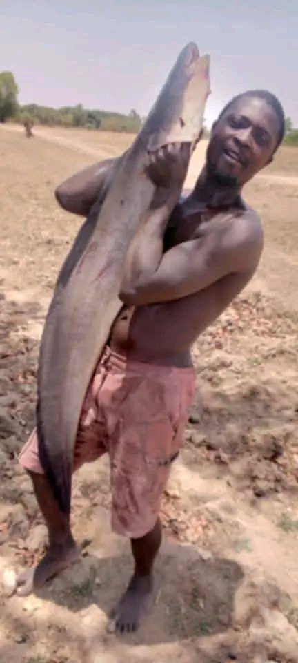 Da Storyteller's Tv tweet media