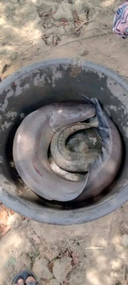 Da Storyteller's Tv tweet media