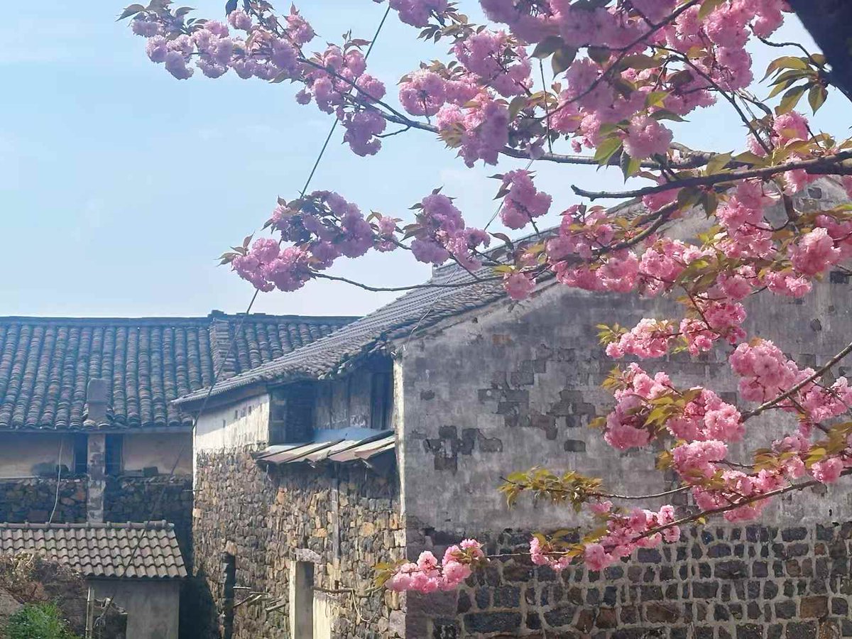 微风不燥，阳光正好~