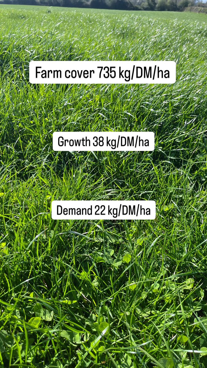 Grass on farm ⬇️☀️ #TippDemoFarm
