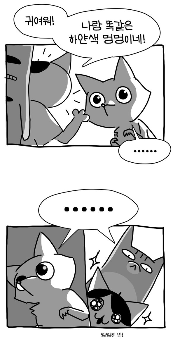 하얀 너구리가 너무 강아지같아서 그렸다 #뚝뚝만화데일리 