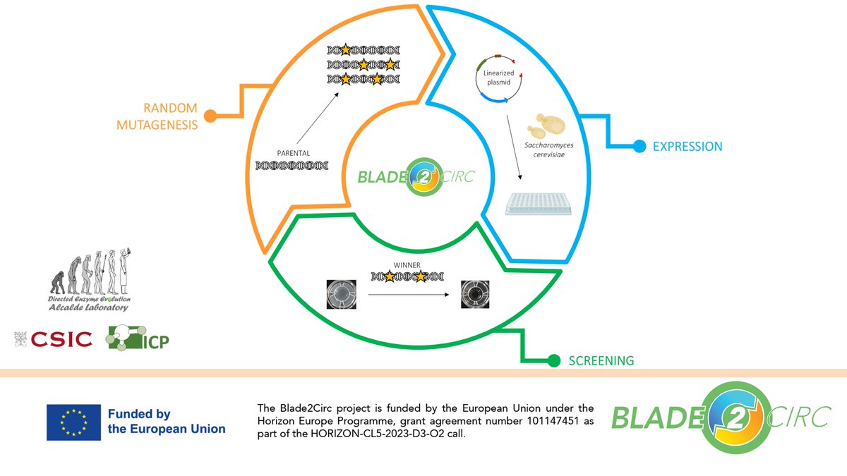 We’re advancing in sustainable recycling! Thanks to our partner <a href="/CSIC/">CSIC</a>, we’re using enzymes to turn wind turbine blade composites into eco-friendly materials.

✅Enzymes breaking down materials
✅Biocatalysts degrading bio-resins
✅AI improving recycling with machine learning