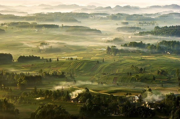 iloveguizhou's tweet image. 🍵Join us on ‌April 18 in Meitan county, #Zunyi, for the 17th #Guizhou Tea Industry Expo!‌

Let's celebrate innovation, culture, and sustainability in tea. #GuizhouUpdates
👉bit.ly/4i7g26i