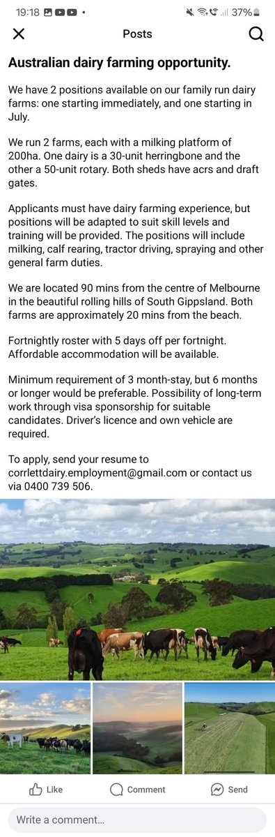 JOB OPPORTUNITY!
It's that time of year when we are looking for staff for next season.  Please share! 🐄🐄🐄🐄