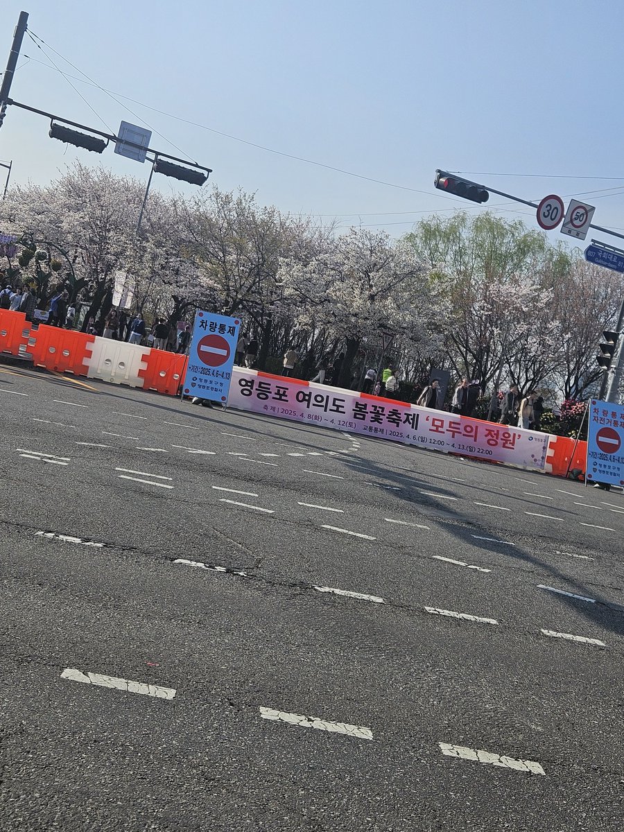 dc_FiveTime's tweet photo. 여의도에 봄꽃축제가 오늘부터 시작이라 해서 한번 와봤습니다.
벚꽃이 만개한것 같으니 올해에는 꼭 한번 와보길 추천드립니다. https://t.co/vAirldJ1DN