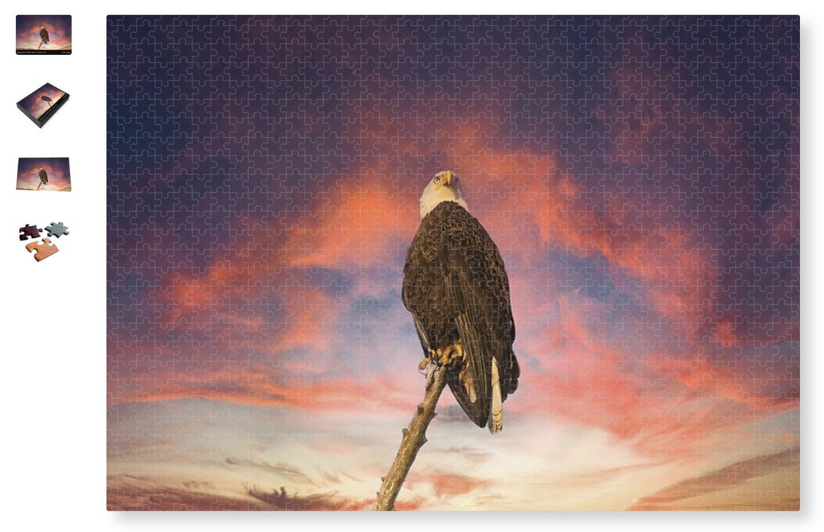 SteveRich_Photo's tweet photo. Bald Eagle at Phinizy Swamp Puzzle https://t.co/Wsi1ifGlqp 
#BaldEagle #PhinizySwamp #AugustaGeorgia #WildlifeComposite #BirdOfPrey #EaglePortrait #jigsawpuzzles #puzzle #jigsawpuzzle #puzzlelover #puzzleaddict  #puzzletime #puzzlesofinstagram #jigsaw #puzzlegram #puzzling https://t.co/rpqRww9yiO